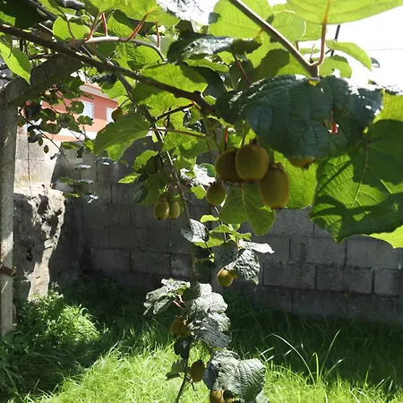 Casa Do Carrexal Casa vacanze Moran