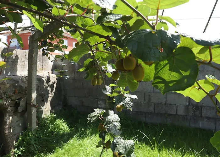 Casa Do Carrexal Σπίτι διακοπών Moran